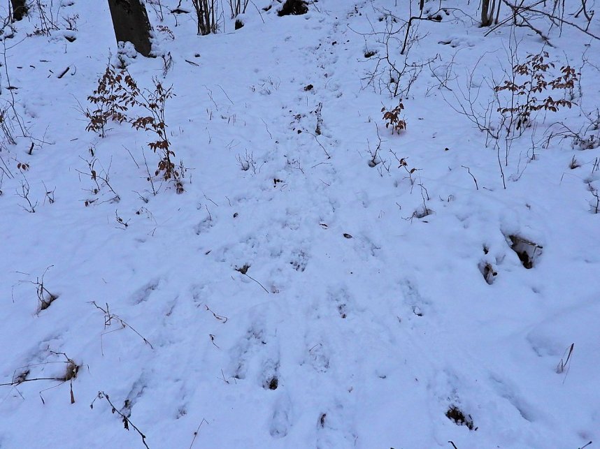 Peter Blei unterwegs bei Steigerthal