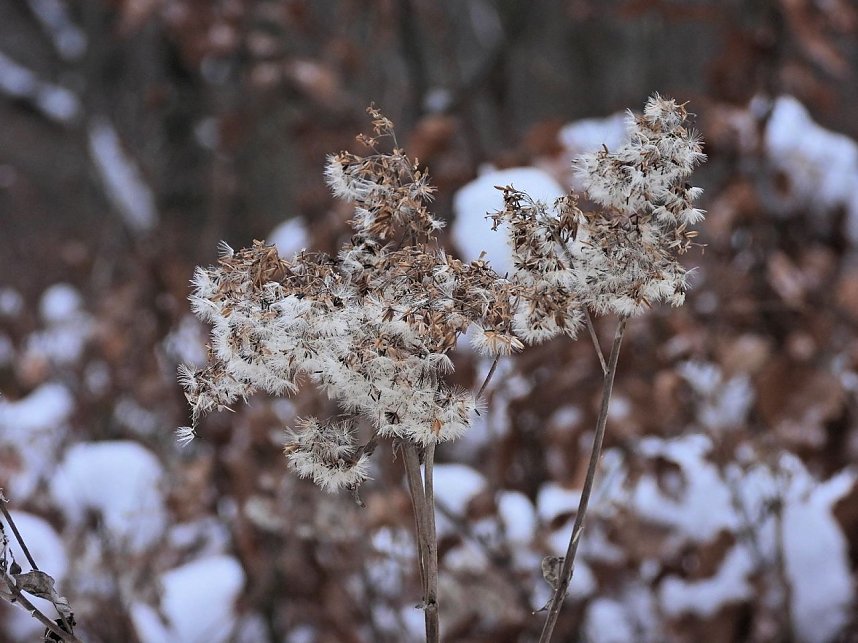 Peter Blei unterwegs bei Steigerthal