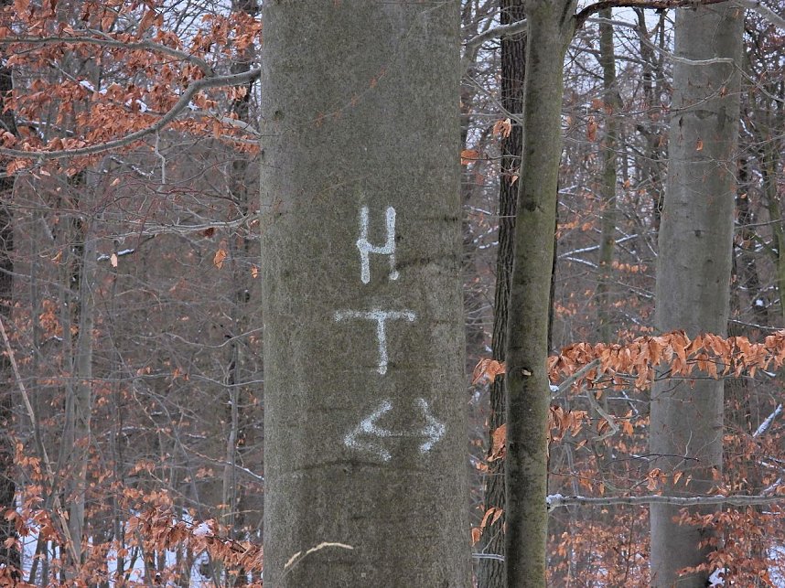 Peter Blei unterwegs bei Steigerthal