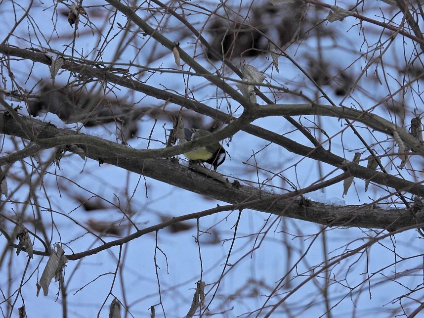 Peter Blei unterwegs bei Steigerthal