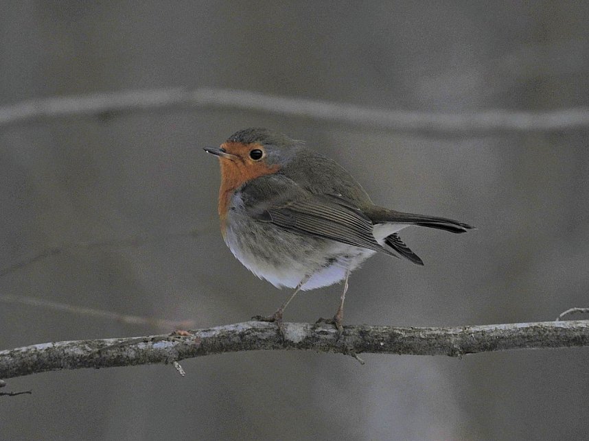Peter Blei unterwegs bei Steigerthal