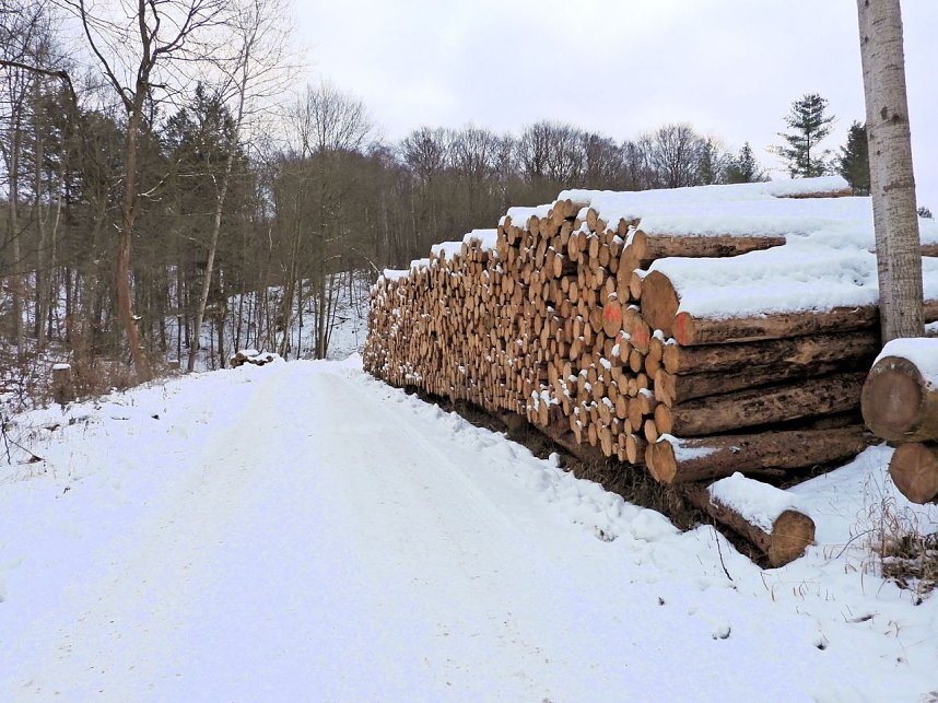 Peter Blei unterwegs bei Steigerthal