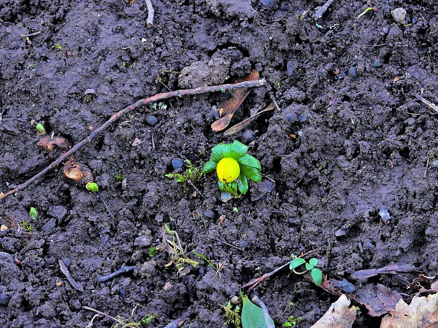 Impressionen im Park Hohenrode