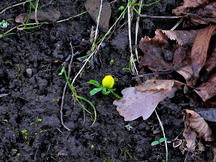Impressionen im Park Hohenrode