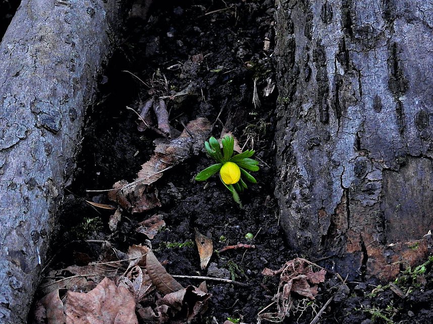 Impressionen im Park Hohenrode