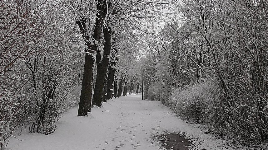 Winter unterm Kyffh&auml;user