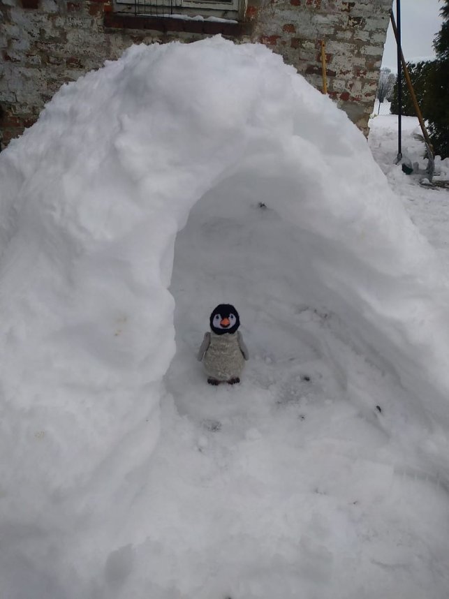 Hier sind die Gewinner-Iglus