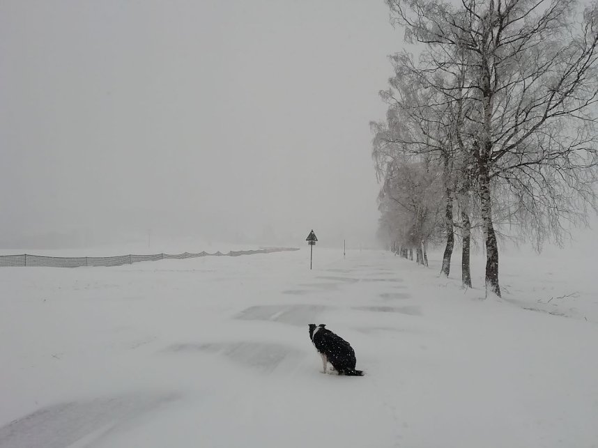 Winter in Sophienhof