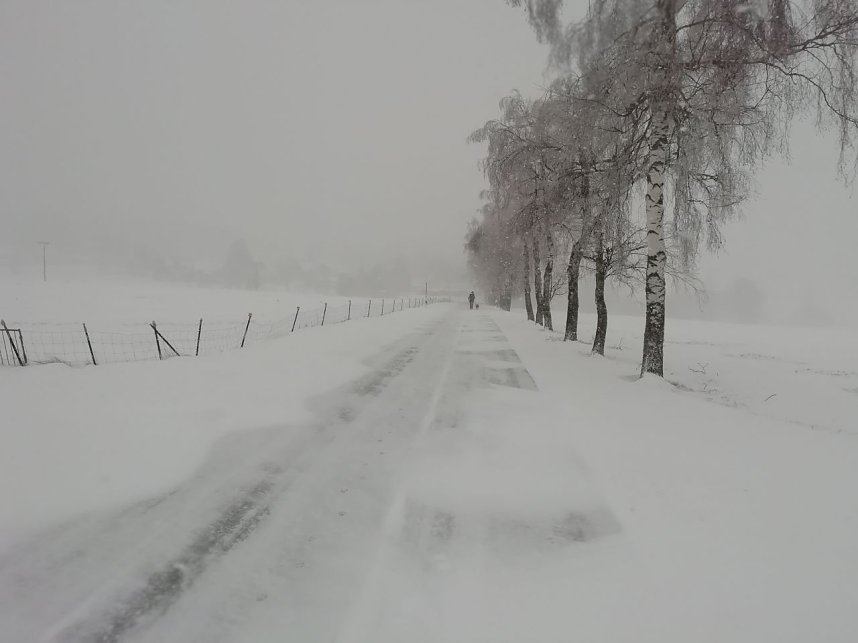 Winter in Sophienhof