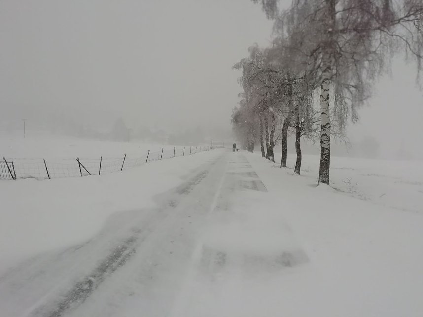 Winter in Sophienhof