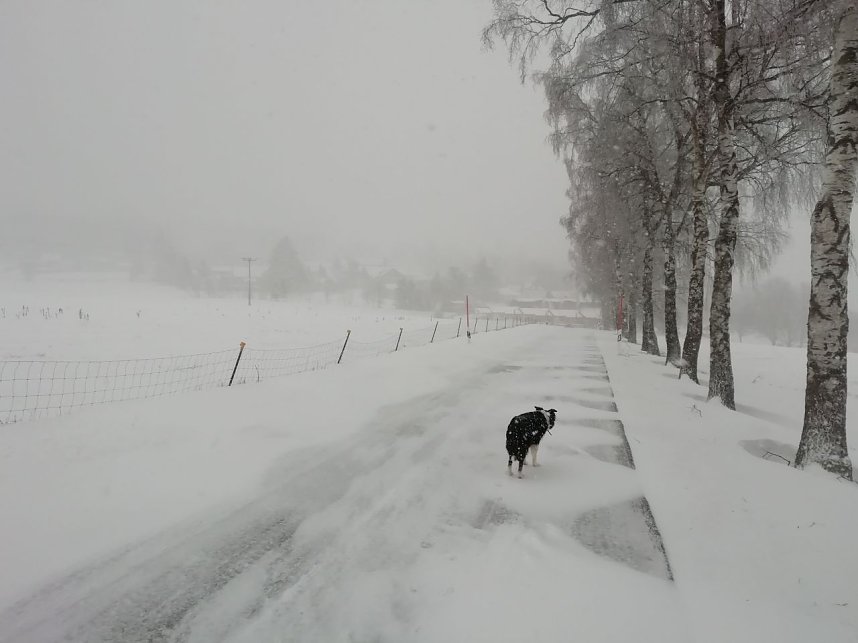 Winter in Sophienhof