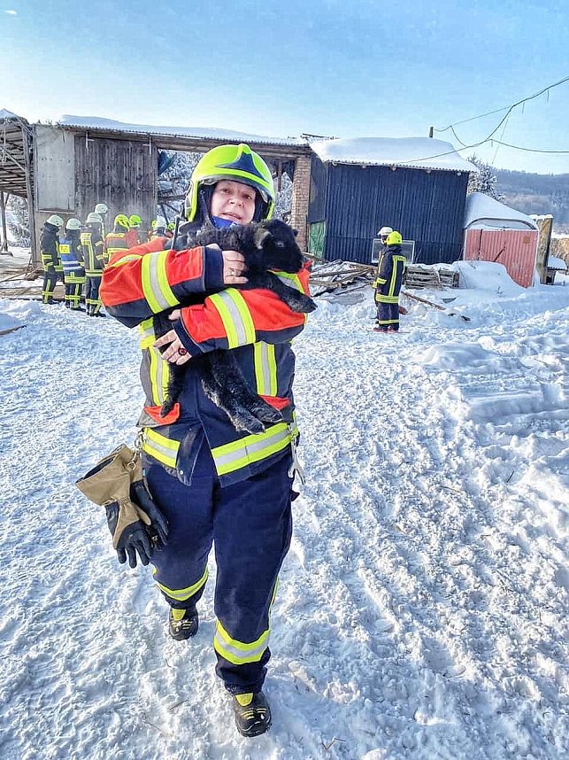 Rettung in der Not: in Lipprechterode konnten die freiwilligen Feuerwehren heute rund 350 Schafe bergen