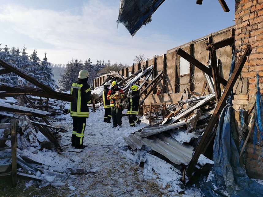 Rettung in der Not: in Lipprechterode konnten die freiwilligen Feuerwehren heute rund 350 Schafe bergen