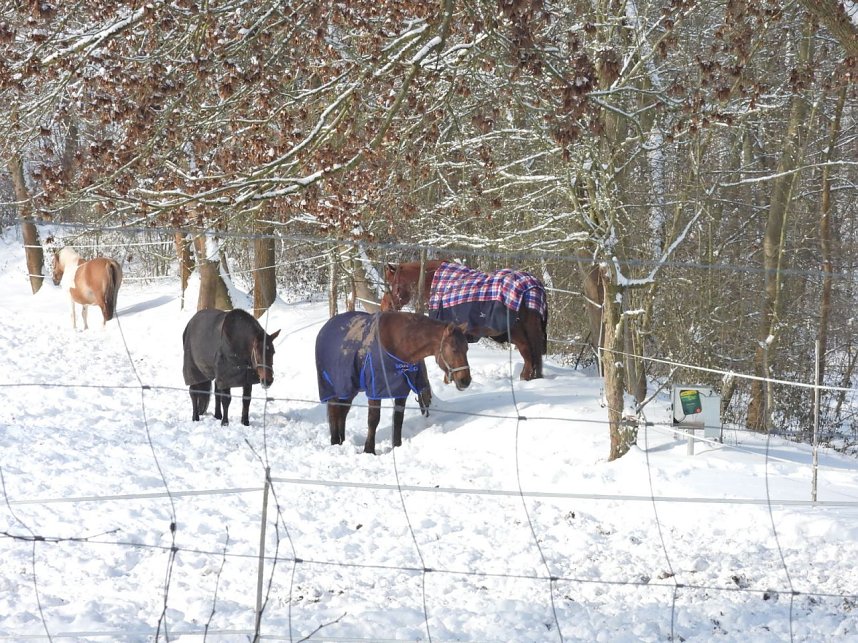 Peter Blei unterwegs in der Windl&uuml;cke