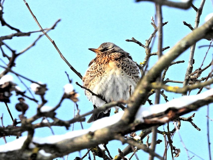Peter Blei unterwegs in der Windl&uuml;cke
