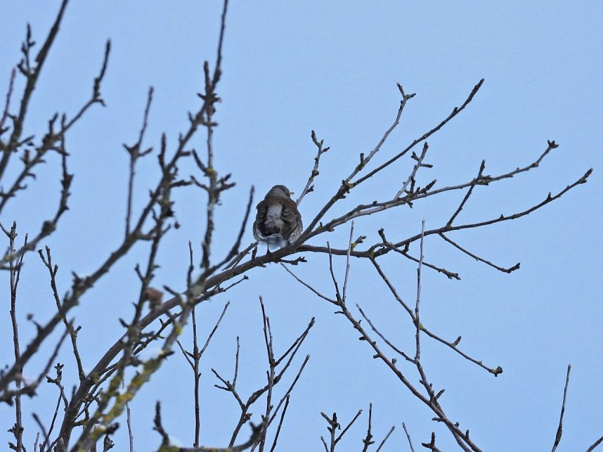 Peter Blei unterwegs in der Windl&uuml;cke