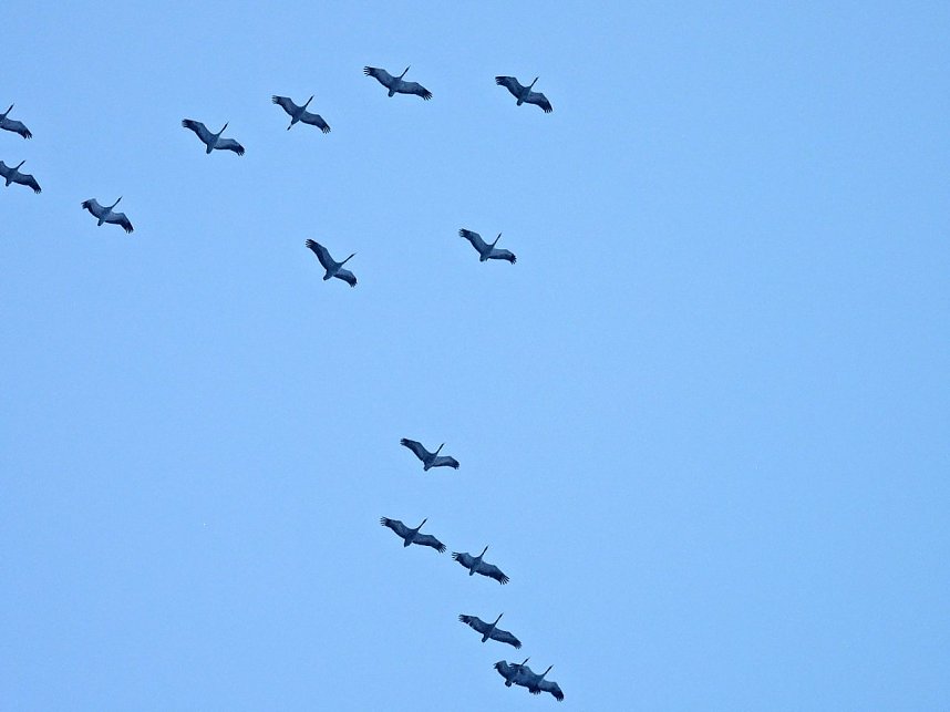 Peter Blei unterwegs in der Windl&uuml;cke
