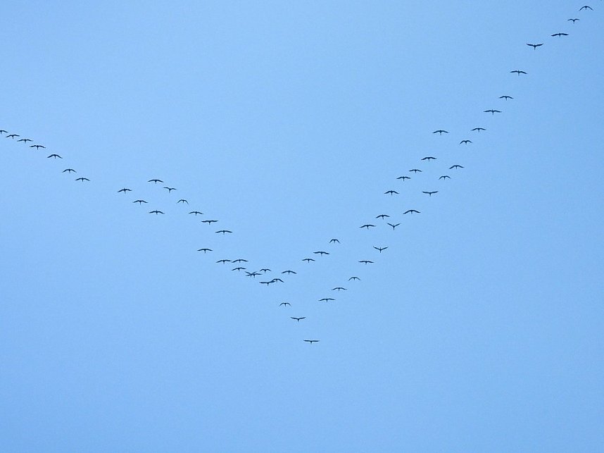 Peter Blei unterwegs in der Windl&uuml;cke