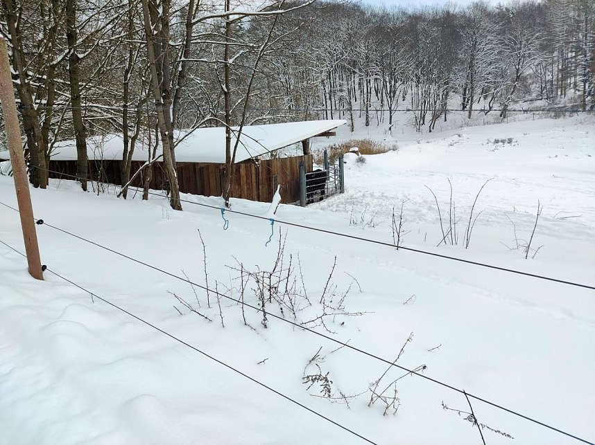 Peter Blei unterwegs in der Windl&uuml;cke
