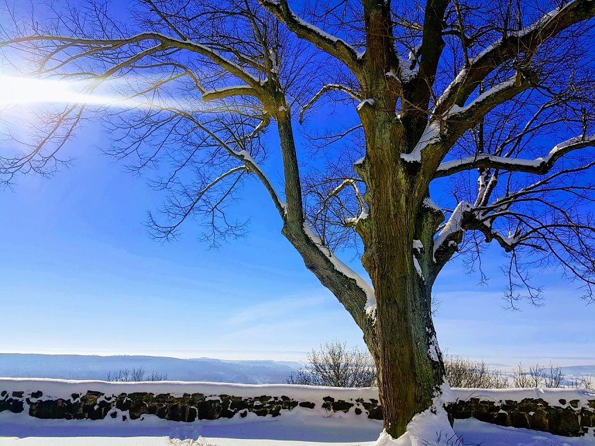 Hohnstein im Winterzauber