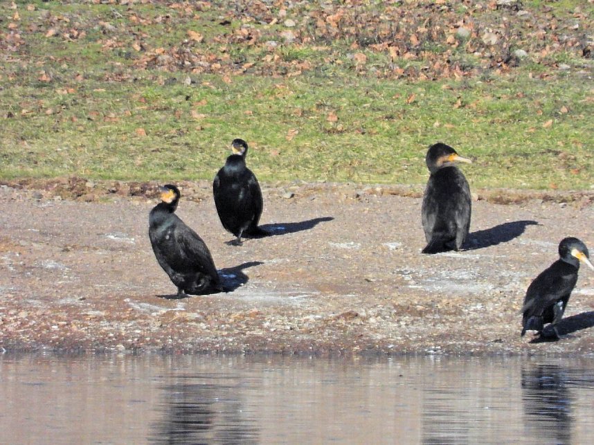 Ausfl&uuml;ge am Kiesschacht