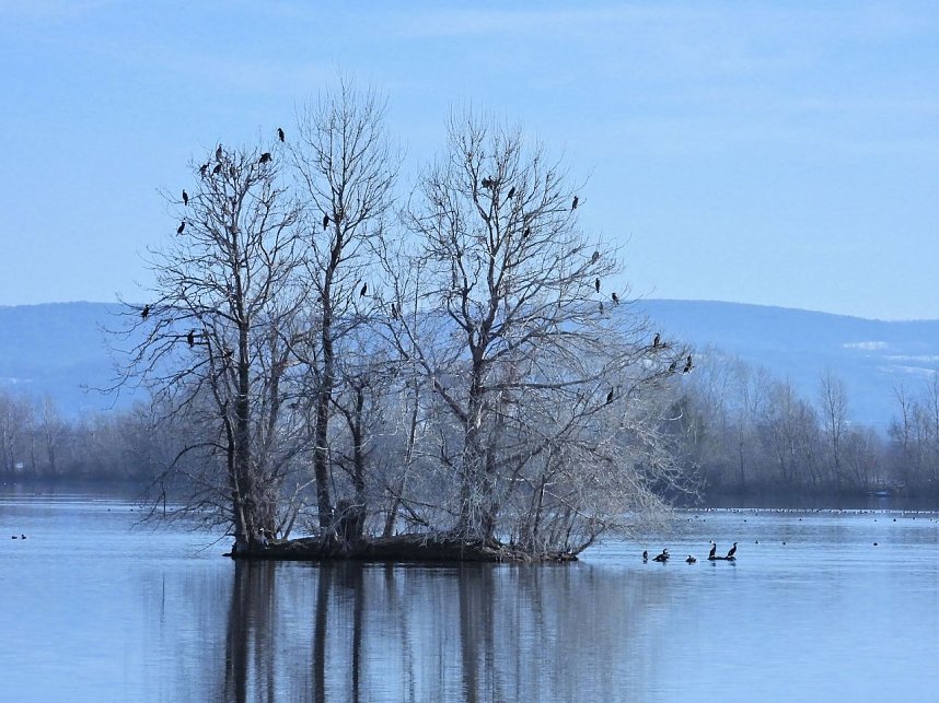 Ausfl&uuml;ge am Kiesschacht