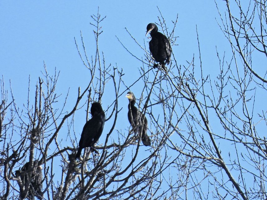 Ausfl&uuml;ge am Kiesschacht