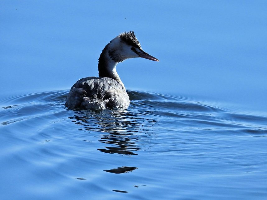 Ausfl&uuml;ge am Kiesschacht