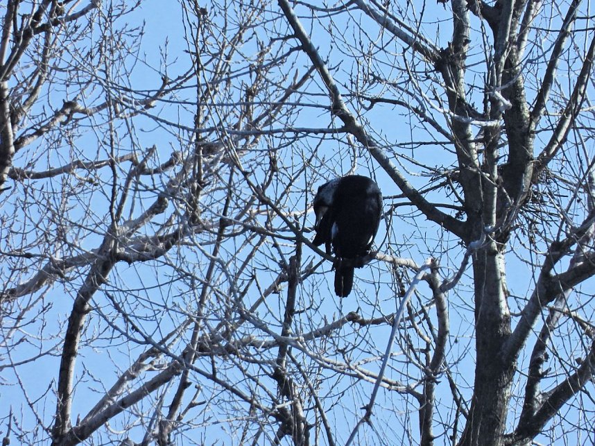 Ausfl&uuml;ge am Kiesschacht