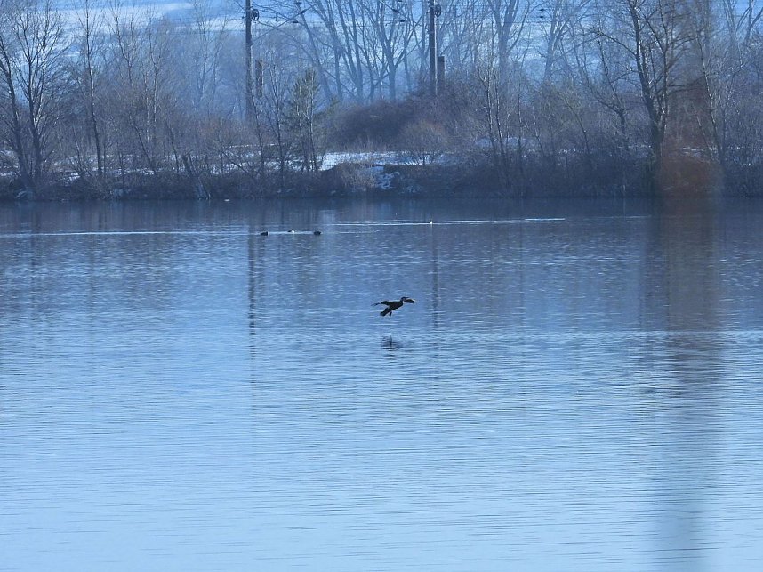 Ausfl&uuml;ge am Kiesschacht