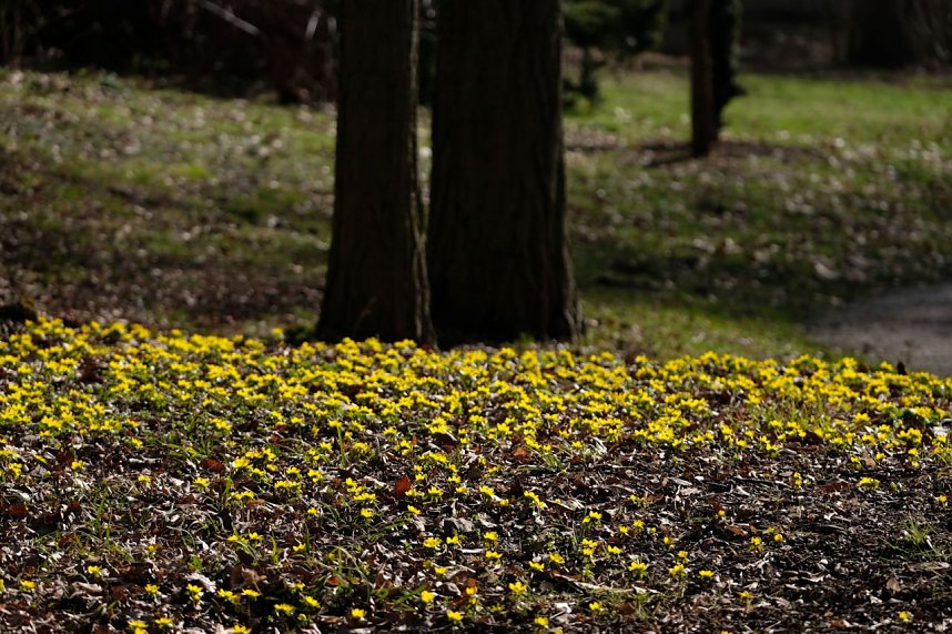 Peter Blei unterwegs im Park Hohenrode