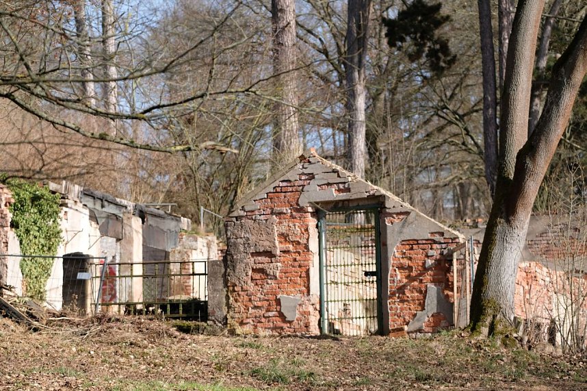 Peter Blei unterwegs im Park Hohenrode