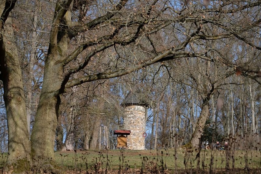 Peter Blei unterwegs im Park Hohenrode