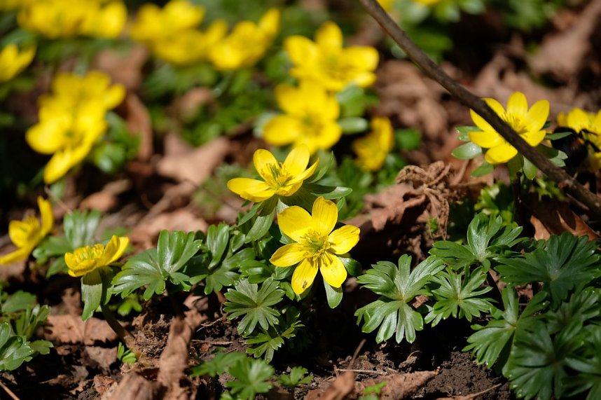 Peter Blei unterwegs im Park Hohenrode
