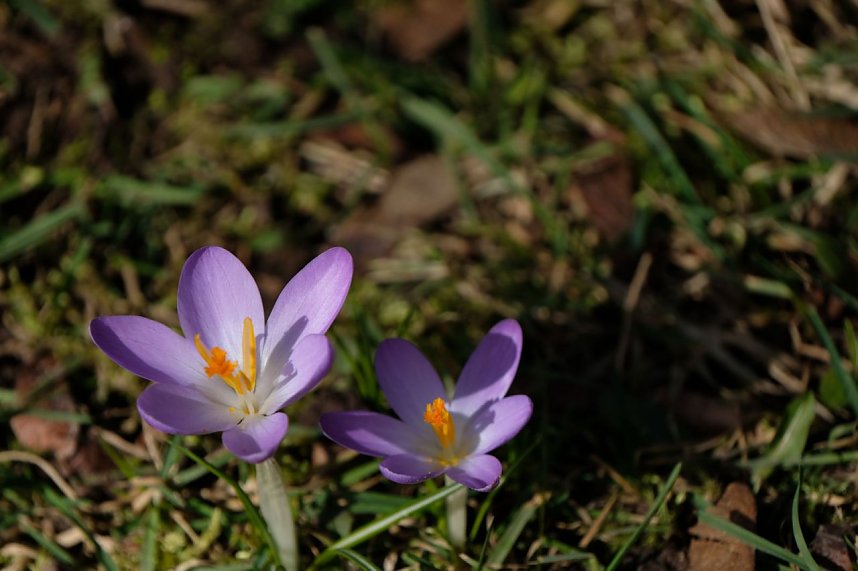 Peter Blei unterwegs im Park Hohenrode