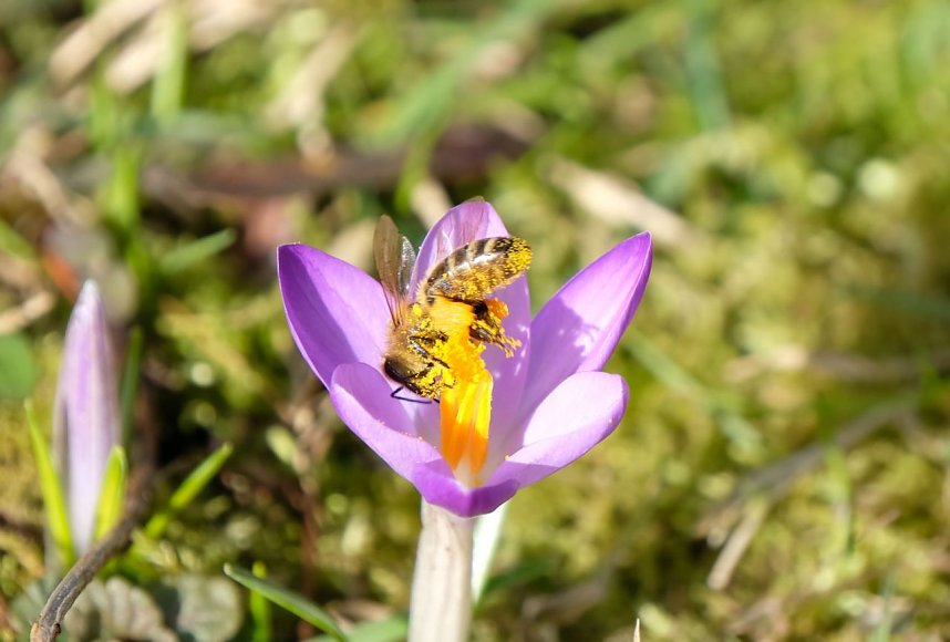 Peter Blei unterwegs im Park Hohenrode