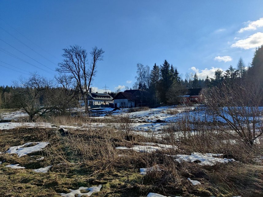 Peter Blei unterwegs im Birkenmoor