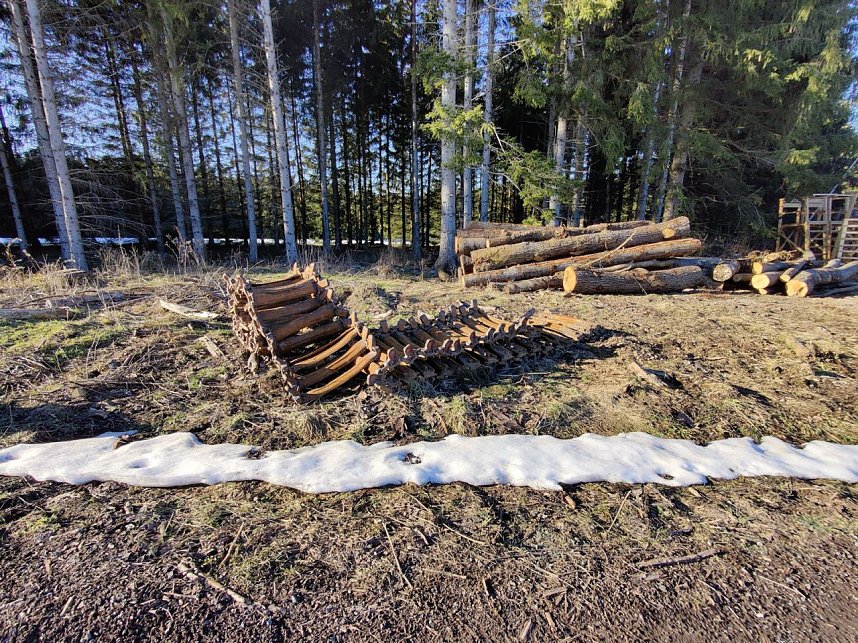Peter Blei unterwegs im Birkenmoor