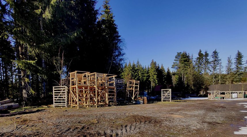 Peter Blei unterwegs im Birkenmoor