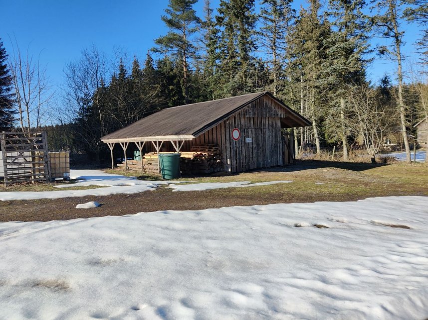 Peter Blei unterwegs im Birkenmoor