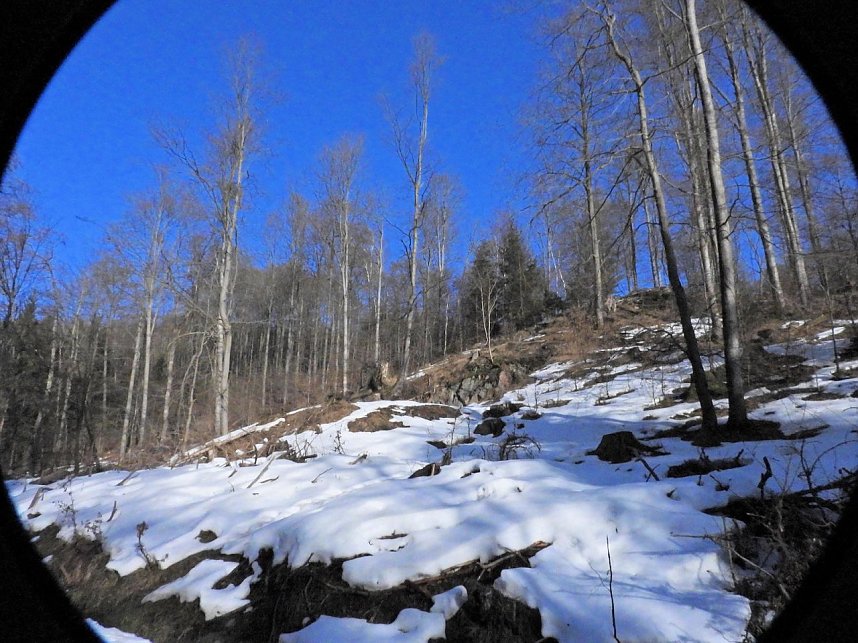 Peter Blei unterwegs im Birkenmoor