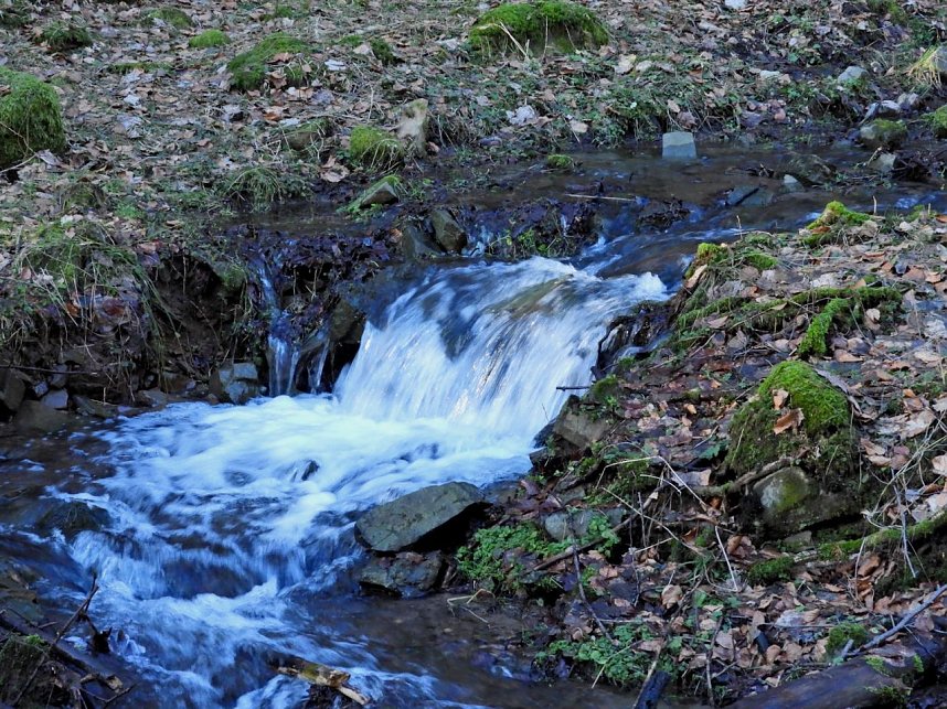 Peter Blei unterwegs im Birkenmoor