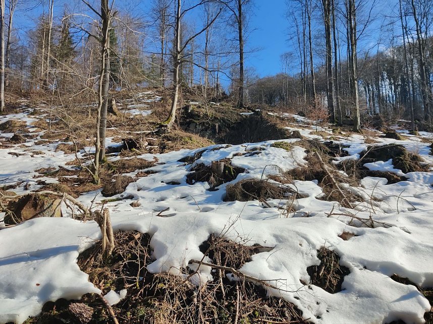 Peter Blei unterwegs im Birkenmoor
