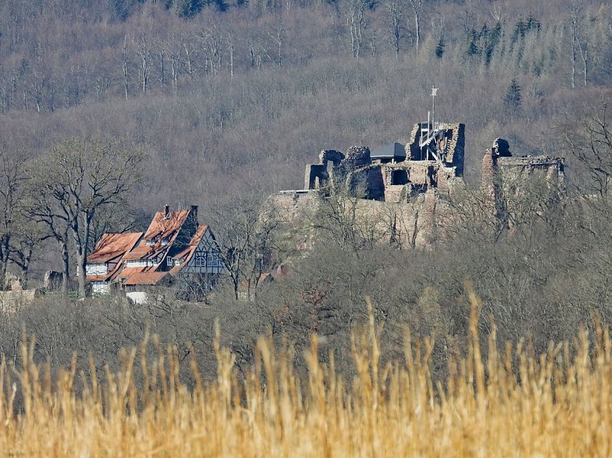 Peter Blei unterwegs am zugefrorenen Rostenteich
