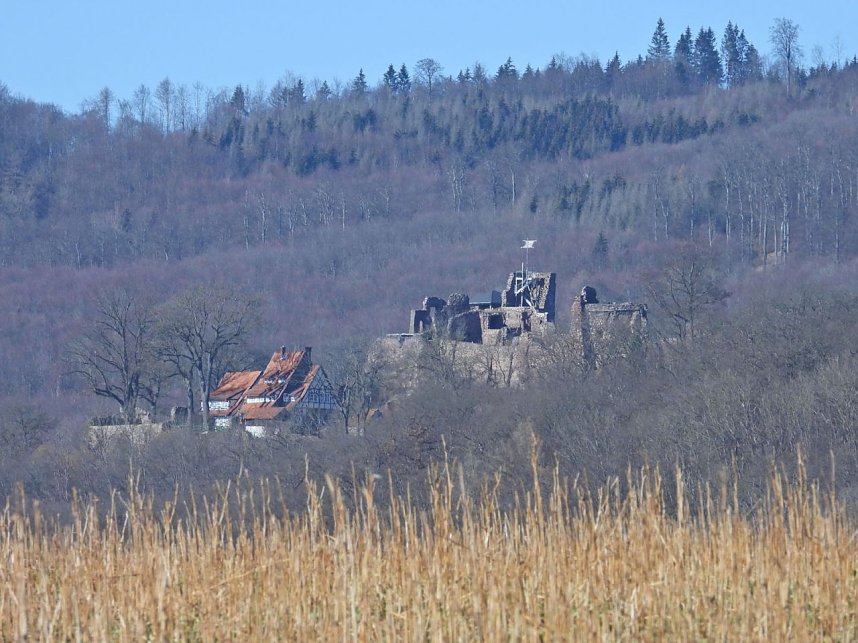 Peter Blei unterwegs am zugefrorenen Rostenteich