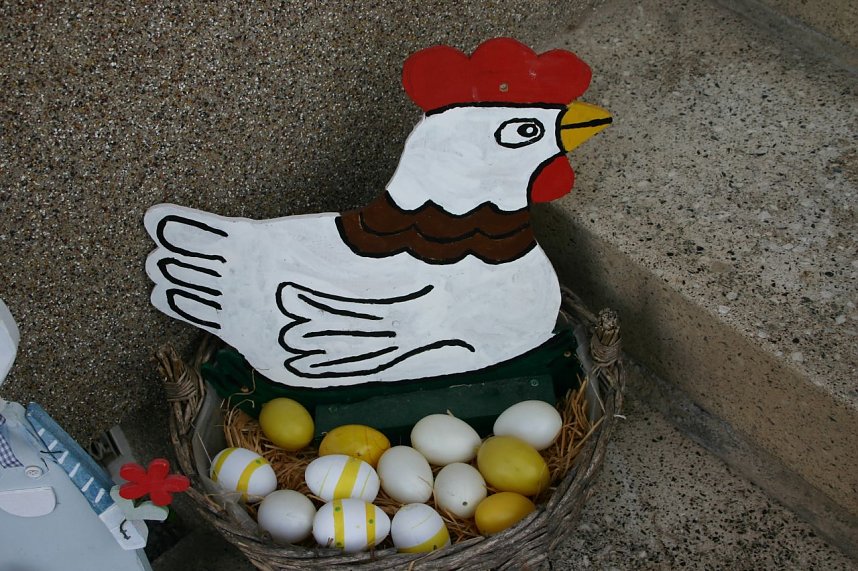 Asyl f&uuml;r Hasenfamilie