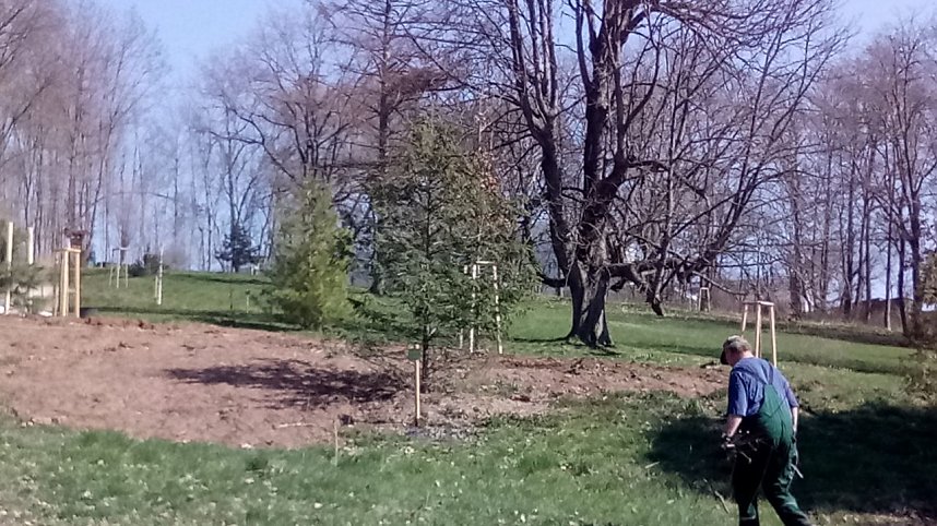 Pflanzaktion im Park Hohenrode durch die Gartenbaufirma August aus Ellrich.                                                                    