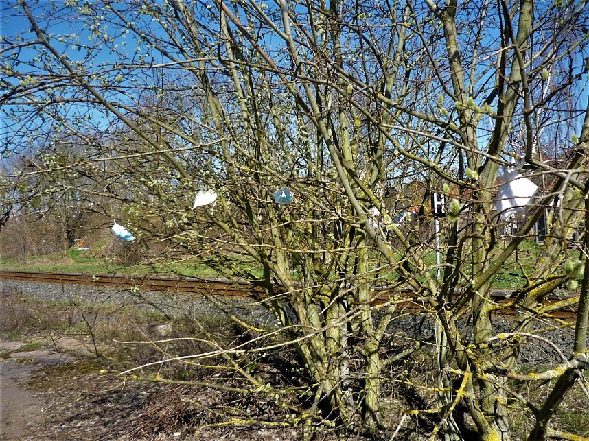 Radwanderung in Nordhausen Umgebung