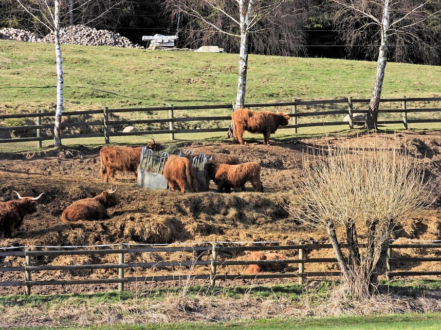 Osterspaziergang mit Peter Blei