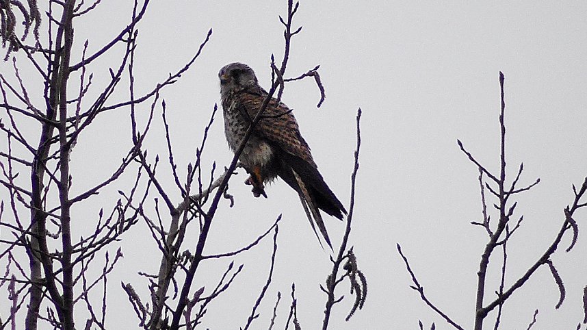 Unterwegs an der Numburg